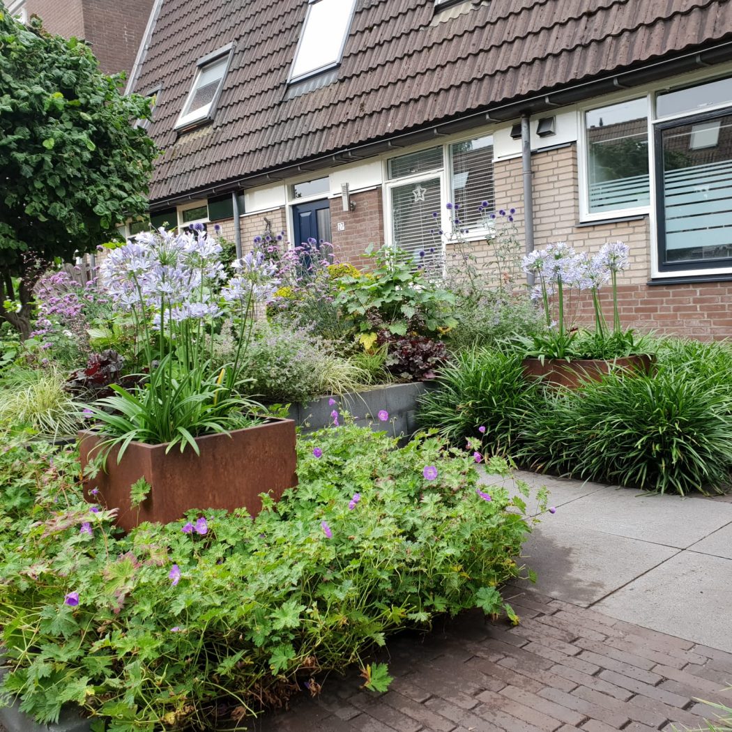 Biodiverse voortuin – Harderwijk