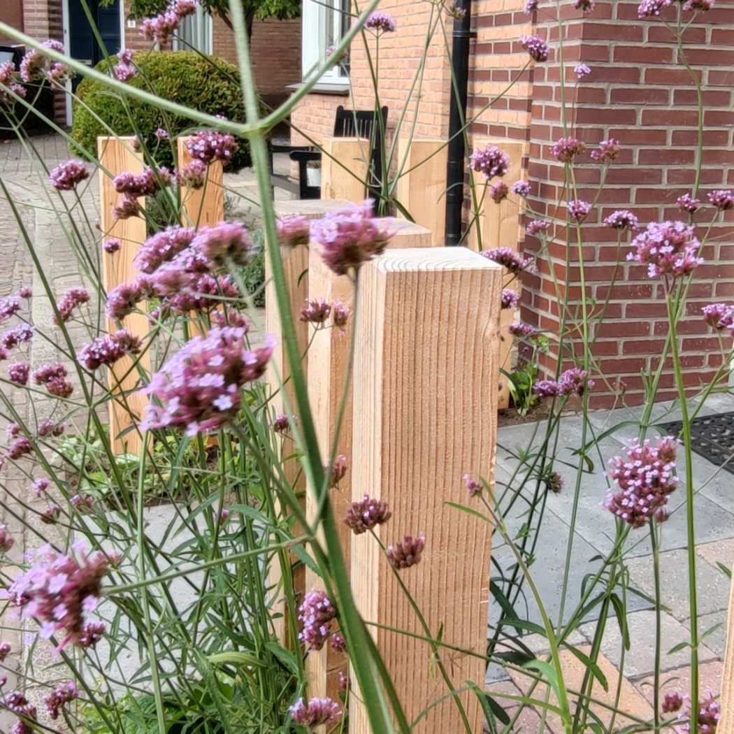 Voortuin – Harderwijk