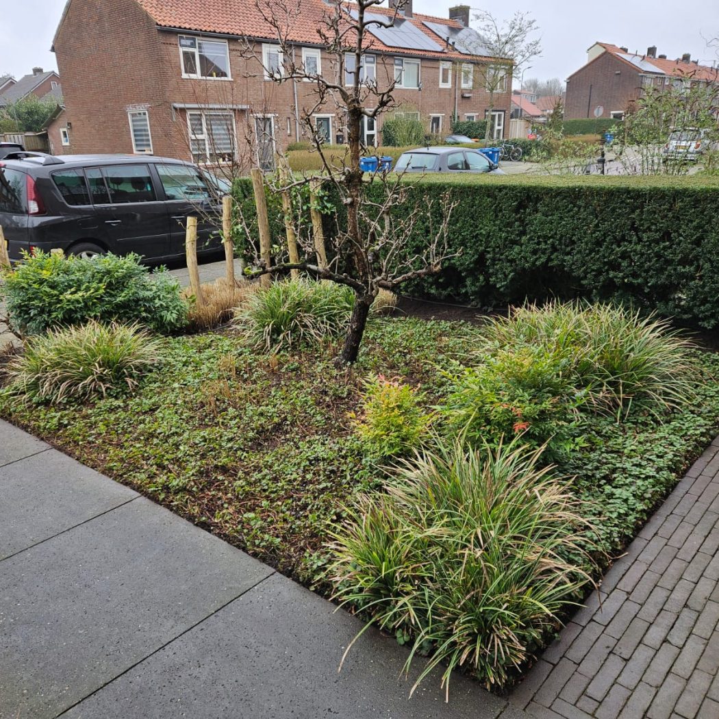 Voortuin – Barneveld